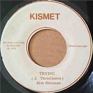 Bim Shieman - Keep On Trying download free