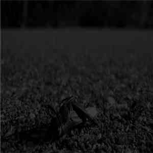 Bug Catcher / Hypnagogue  - Bug Catcher / Hypnagogue download free