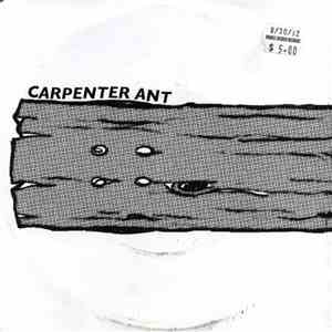 Carpenter Ant - Summer Tour download free