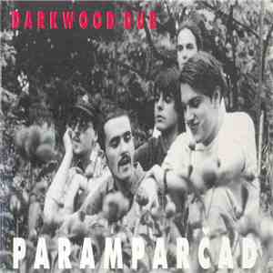 Darkwood Dub - Paramparčad download free