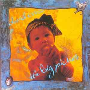 David Cross - The Big Picture download free
