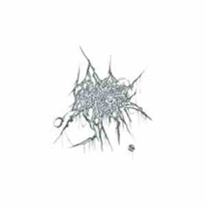 Day Everything Became Nothing, The - Brutal download free