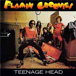 Flamin Groovies - Teenage Head download free
