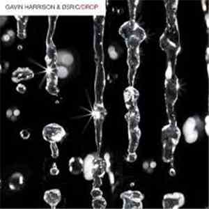 Gavin Harrison, Ø5Ric - Drop download free