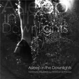 Hammock / Steve Kilbey / timEbandit Powles - Asleep In The Downlights download free