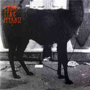 Looks Like Miaou - Looks Like Miaou download free