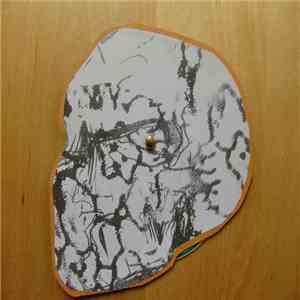 Mouldyard - Mouldyard download free