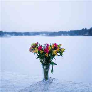 Rainsound - Wreathed In Life download free