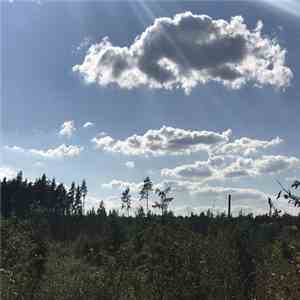 Razxca - Metody Sna download free