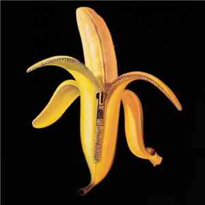 The Dandy Warhols - Welcome To The Monkey House download free