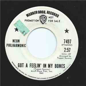 The Neon Philharmonic - Got A Feelin' In My Bones download free