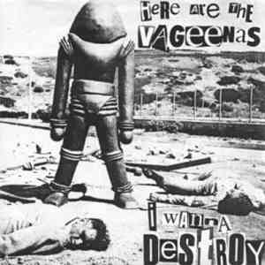 The Vageenas - I Wanna Destroy download free